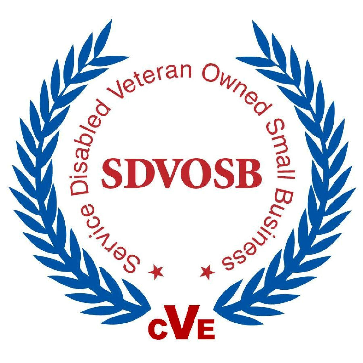 Women Owned Business and Service Disabled Veteran
